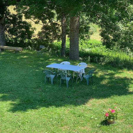 Ferme Au Calme A 15Mn Du Chambon Sur Lignon Villa Saint-Jeures Eksteriør bilde