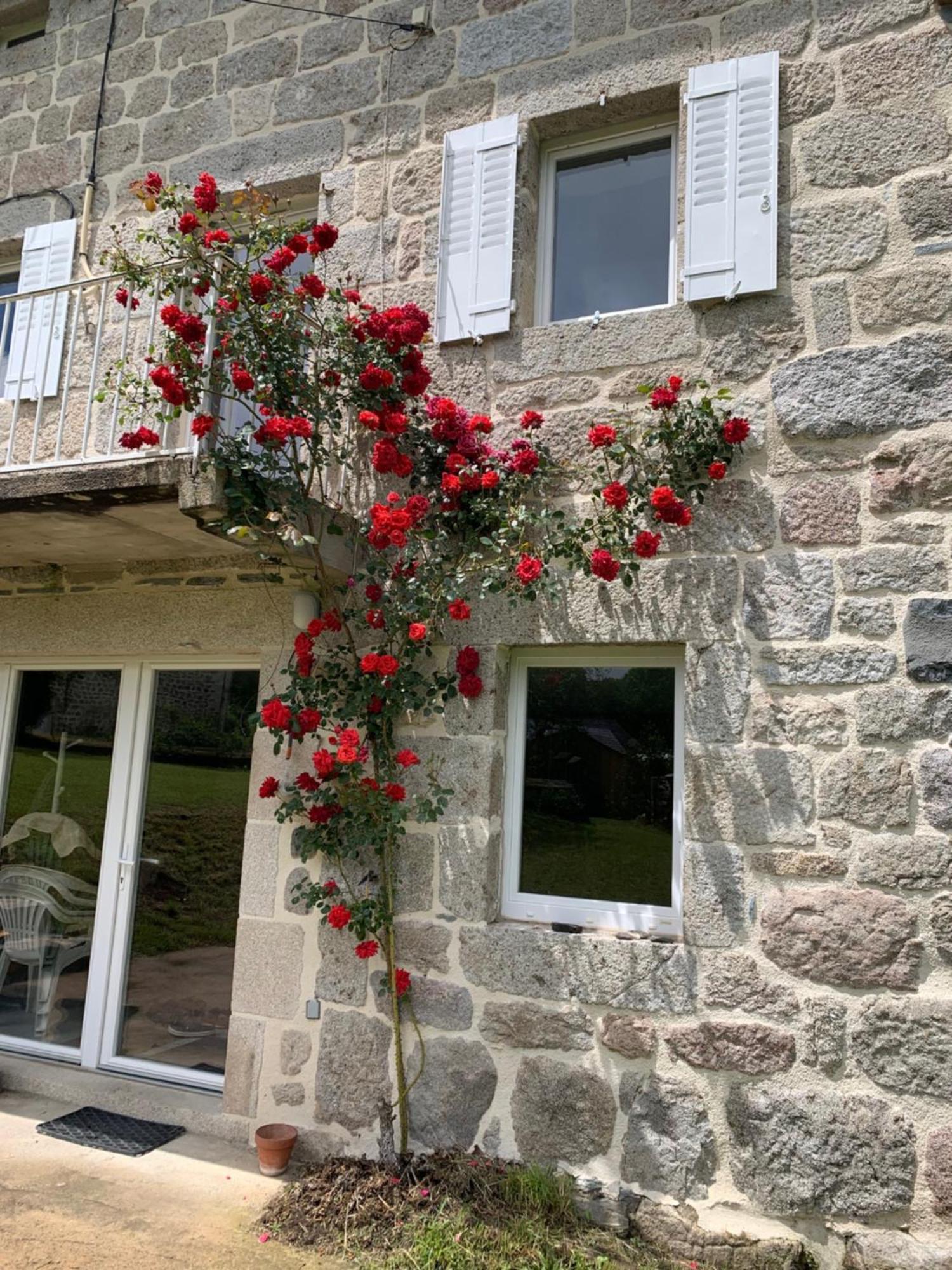 Ferme Au Calme A 15Mn Du Chambon Sur Lignon Villa Saint-Jeures Eksteriør bilde